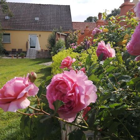 Strandhaus Mariflor Brook Екстер'єр фото