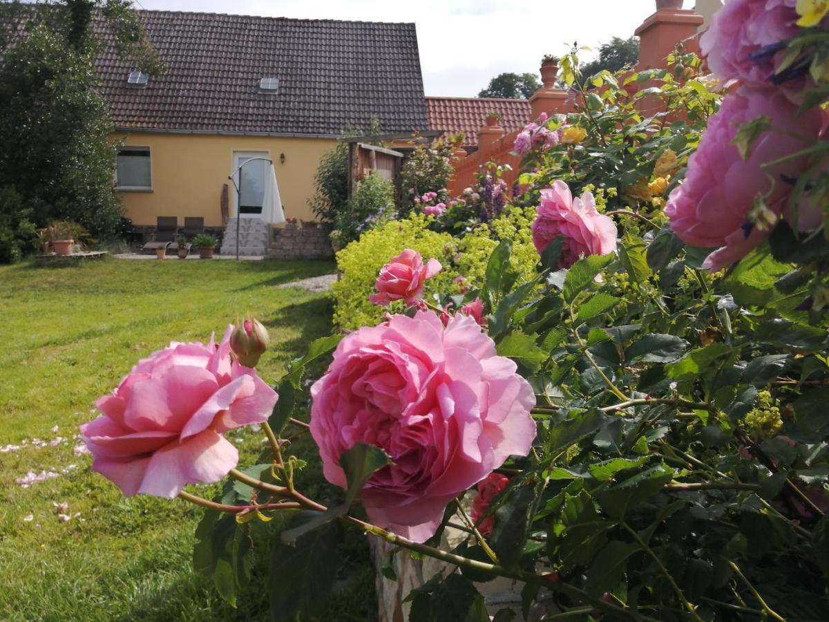 Strandhaus Mariflor Brook Екстер'єр фото